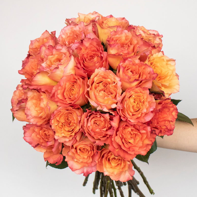 Premium Rose Subscription PrePaid