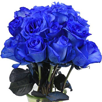 Blue Roses Tinted for Valentine's Day