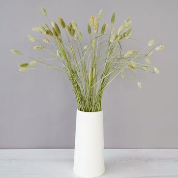 Bulk greenery bunch of canary wholesale grass filler flowers