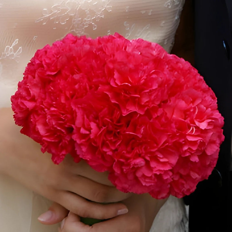 Carnation Wholesale DIY Flower Kit In a Hand
