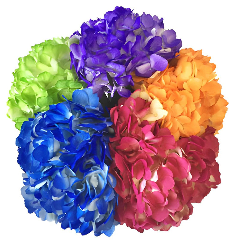 Airbrushed Confetti Hydrangea Mix