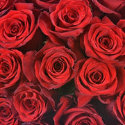 Ready To Go Wholesale Centerpieces Card