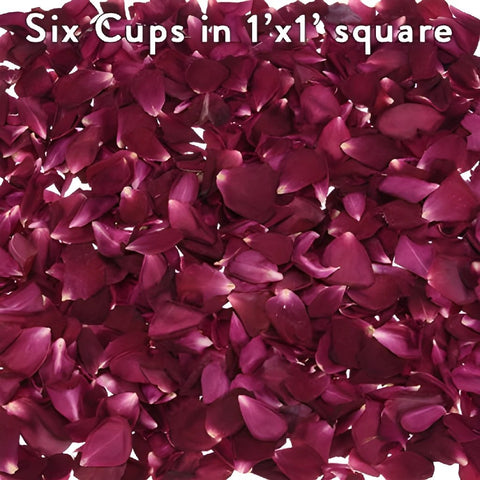 Beautiful Dried Rose Petals for weddings