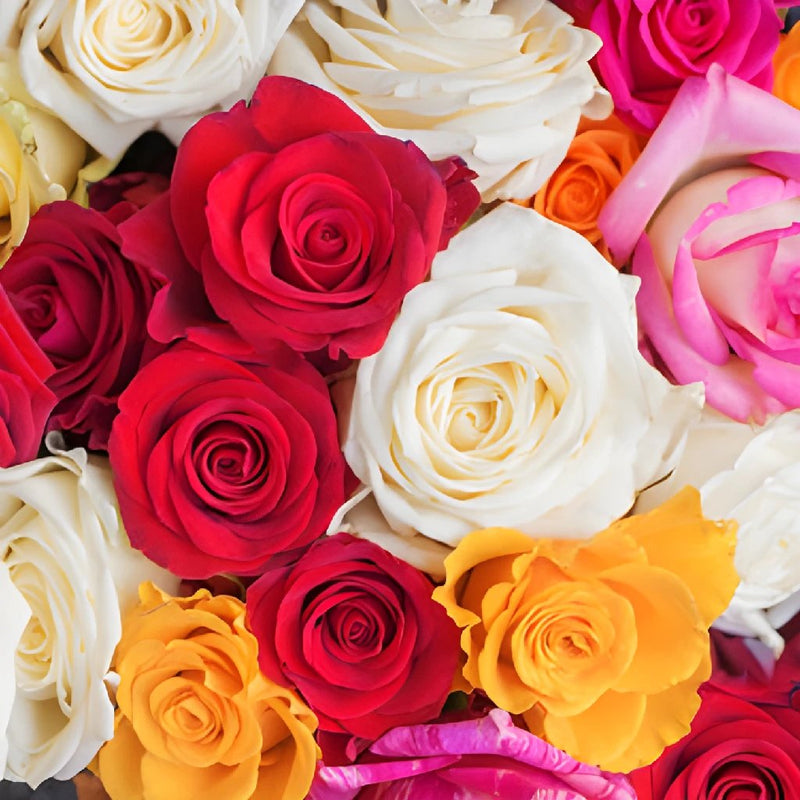 Dozen Leap Year Roses