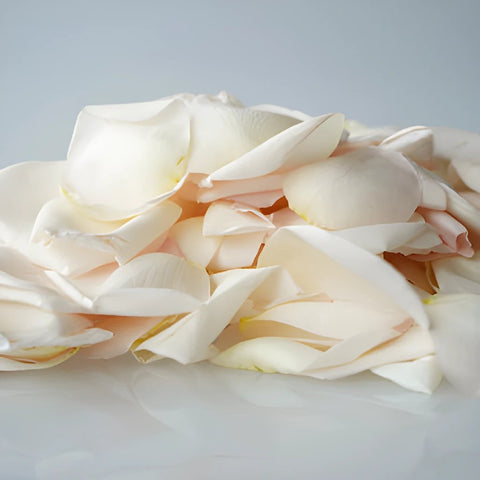Buy Dried Pink Garden Rose Petals