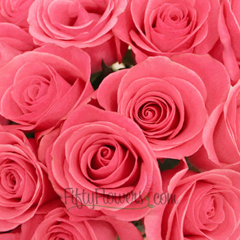 Orlando Pink Rose