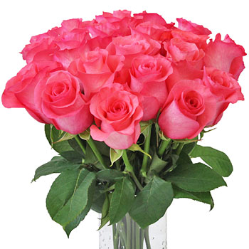 Pinky Promise Rose