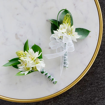 Star of Bethlehem Boutonniere and Corsage Pack