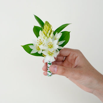 Star of Bethlehem Boutonniere and Corsage Pack