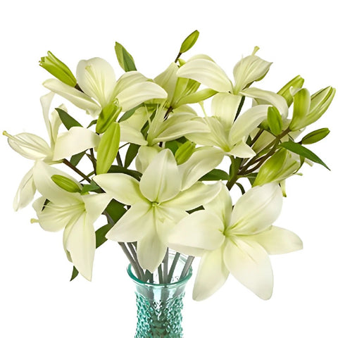 White Hybrid Lily Richmond Bunch