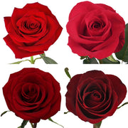 Ready To Go Wholesale Centerpieces Card