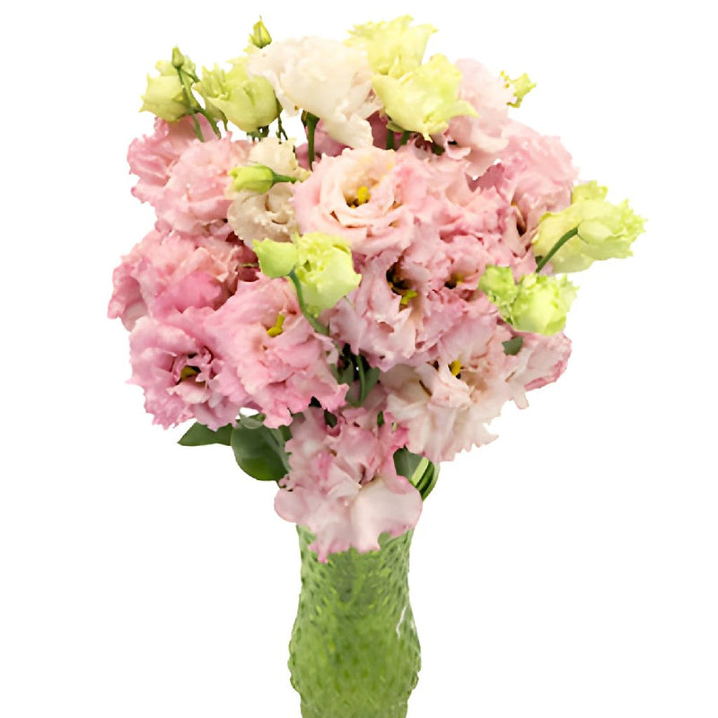 Light Pink Lisianthus Frill Flower