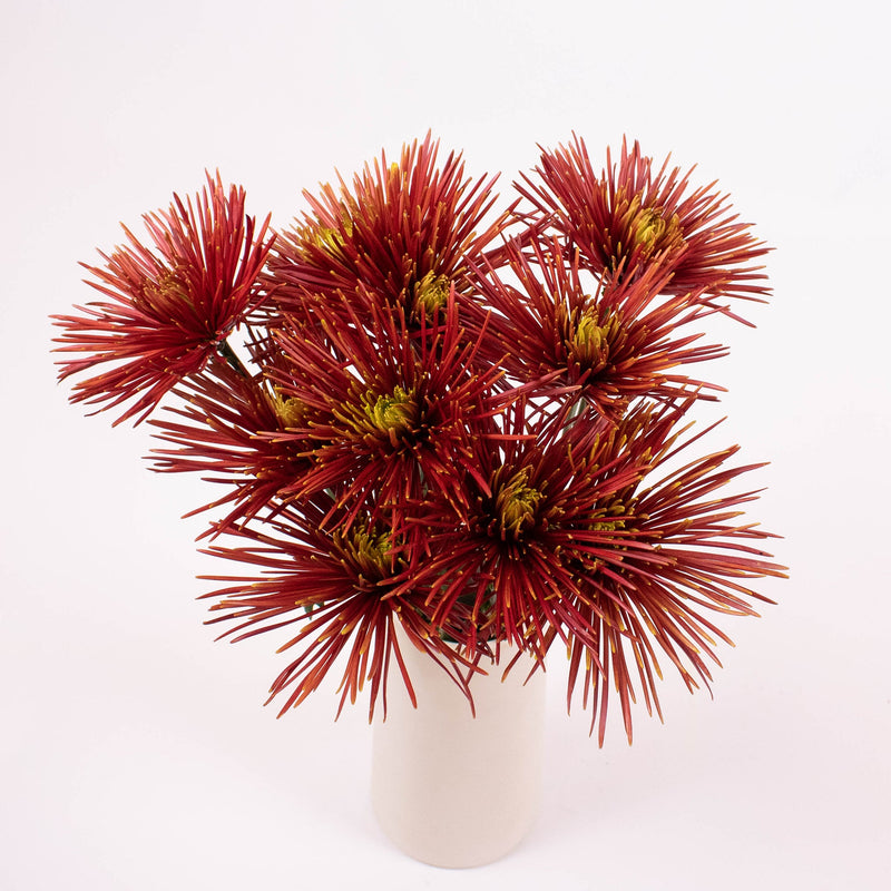 Bronze Spider Mum Flower Bunch in Vase