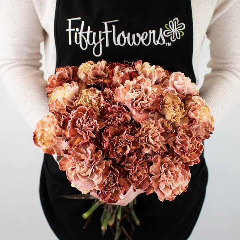 Brown Carnation Flower Bunch in Hand