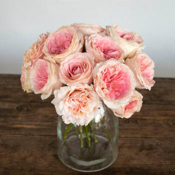 Cabbage Shell Pink Wholesale Roses In a vase