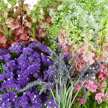 California Wildflowers DIY Flower Kit In a Vase