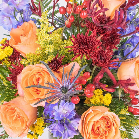 Canyons Dusk DIY Flower Kit