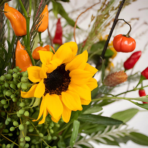 Chili Pepper Fall Flowers DIY Flower Kit Up Close