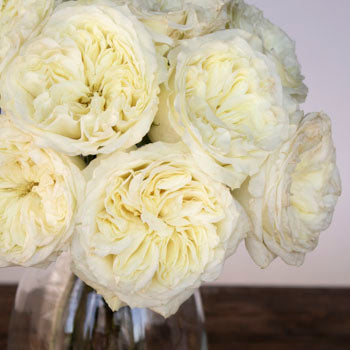 Creamy Ivory Peony Rose Bunch