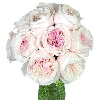 David Austin Keira Garden Wholesale Roses In a vase