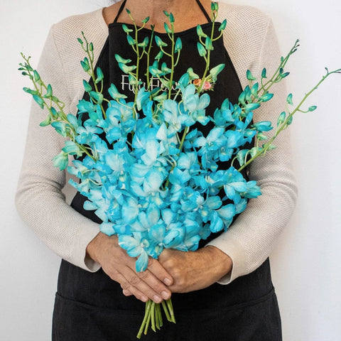 Orchid Blue Wholesale Flower In a Hand
