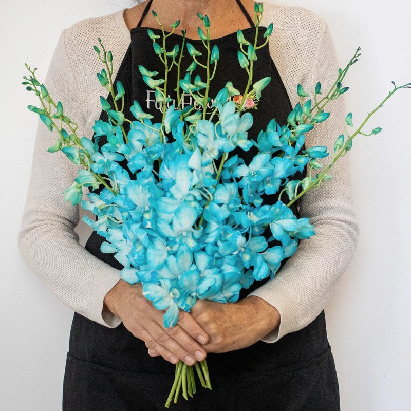 Orchid Blue Wholesale Flower In a Hand