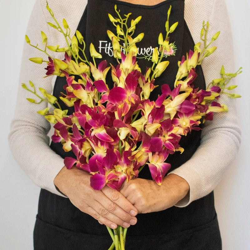 Orchids Orange Wholesale Flower Bunch In a Hand