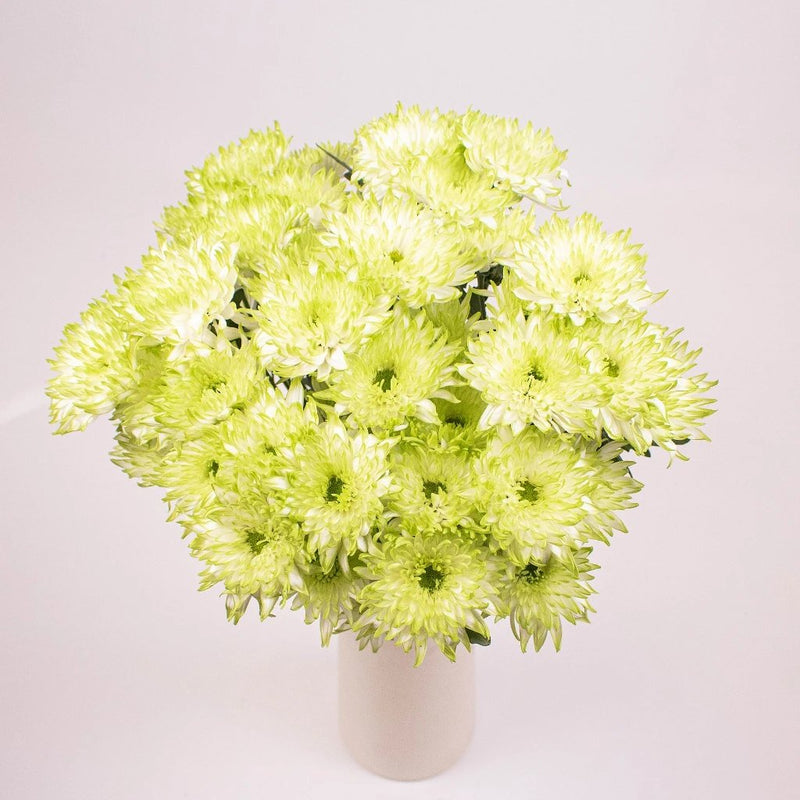 Light Green Cushion Flowers Bunch in Vase
