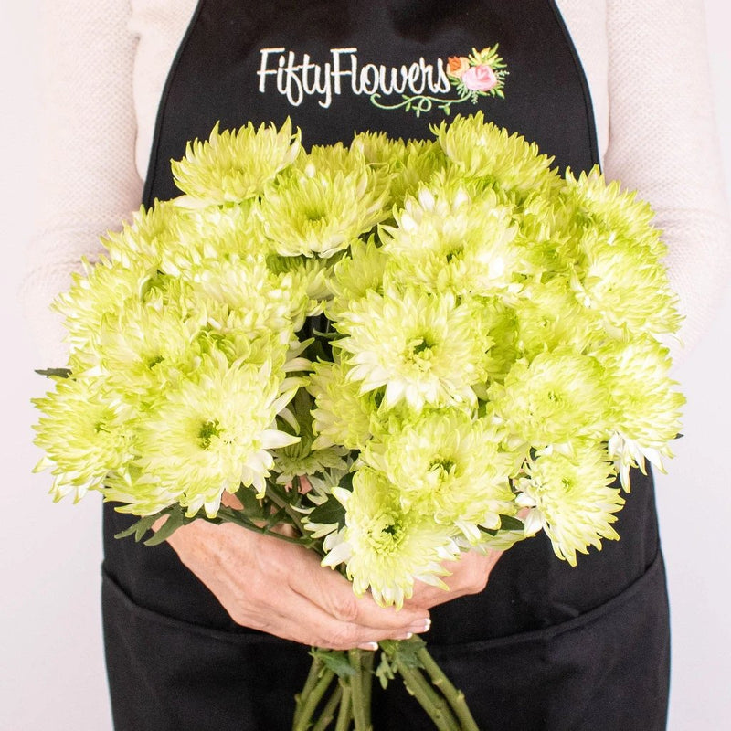 Light Green Cushion Flowers Bunch in Hand