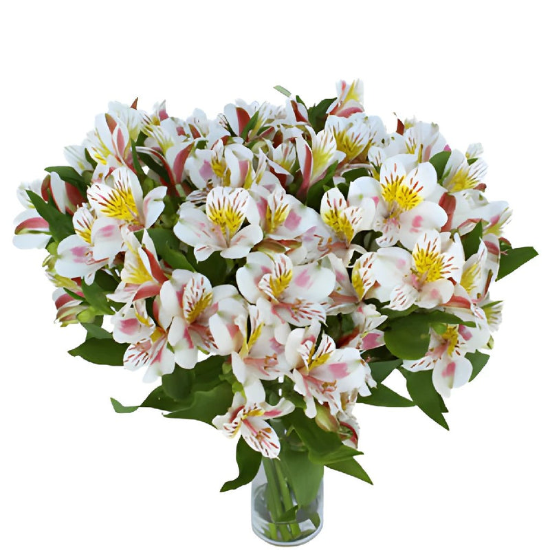 Look at that Alstroemeria Flower in a Vase