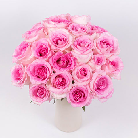 Mandala Pink Roses in Vase