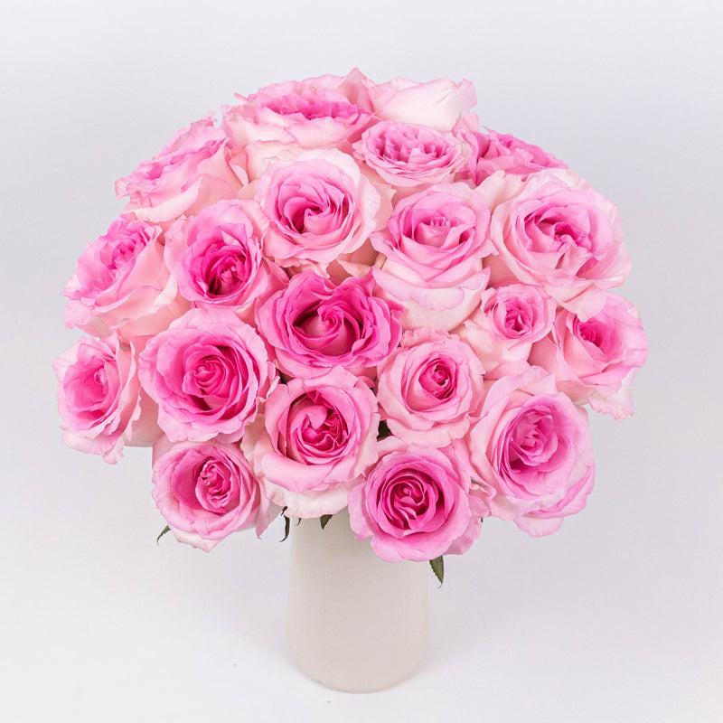 Mandala Pink Roses in Vase