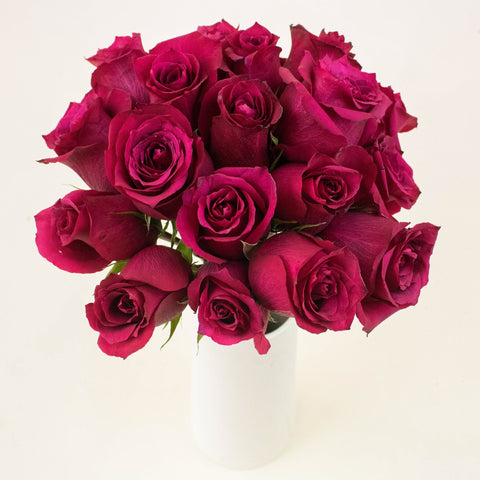 Merlot Red Roses in a Vase
