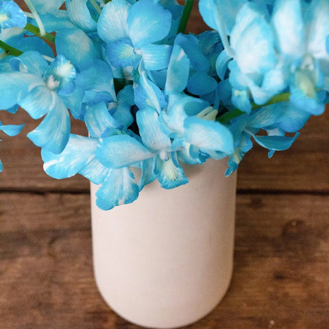 Orchid Blue Wholesale Flower In a Vase