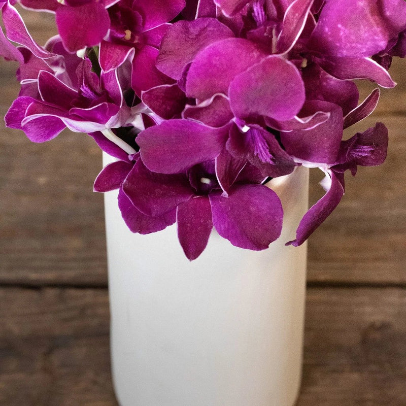 Orchid Burgundy wholesale flowers in vase