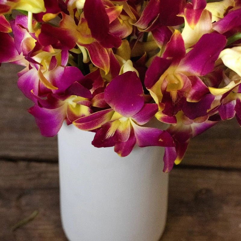 Orchids Orange Wholesale Flower In a Vase