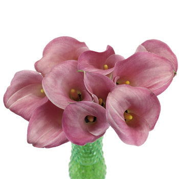 Dusty Rose Calla Lily Flower