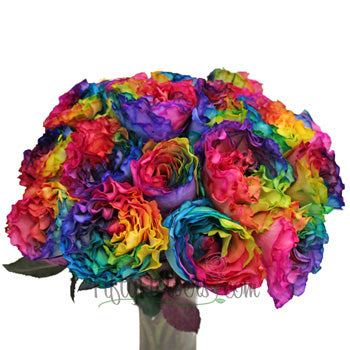 Rainbow Ruffles Garden Wholesale Roses In a vase