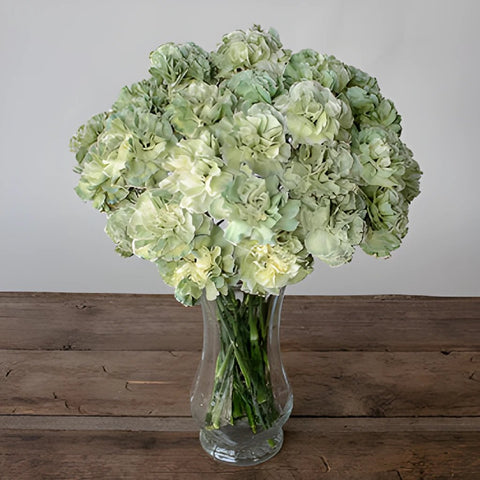 Revy Light Green Carnation Flowers in a Vase