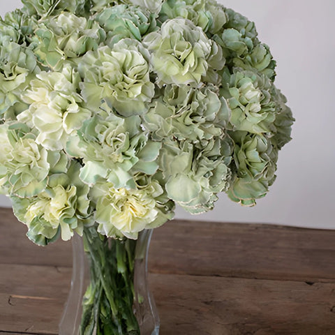 Revy Light Green in a vase Close Up