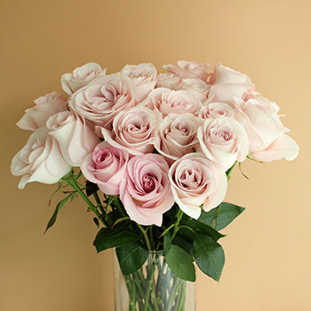 Secret Blush Garden Wholesale Roses In a vase