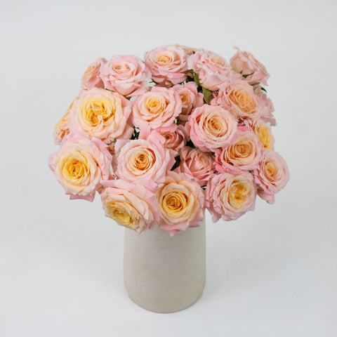 Peachy Keen Spray Wholesale Roses