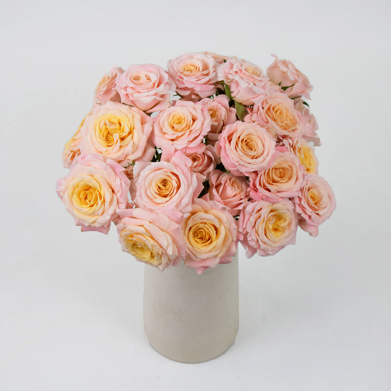 Peachy Keen Spray Wholesale Roses