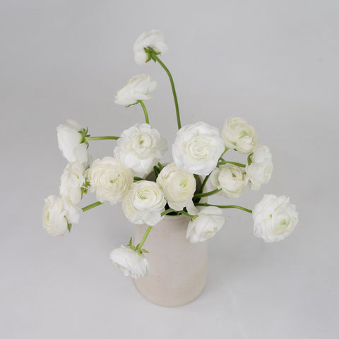 White Ranunculus Flower Bunch in Vase
