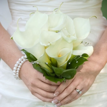 White Standard Calla and Mini Calla Lily Wholesale DIY Flower Kit In a Hand