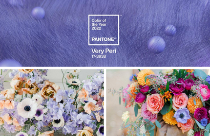 //devfifty.myshopify.com/cdn/shop/articles/Very-Peri-2022-Pantone-Color-Periwinkle-Wedding-Ideas.png?crop=center&height=280&v=1656606815&width=430