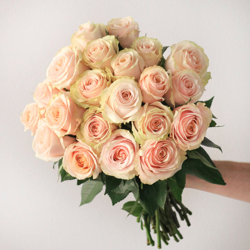 Premium Rose Subscription PrePaid
