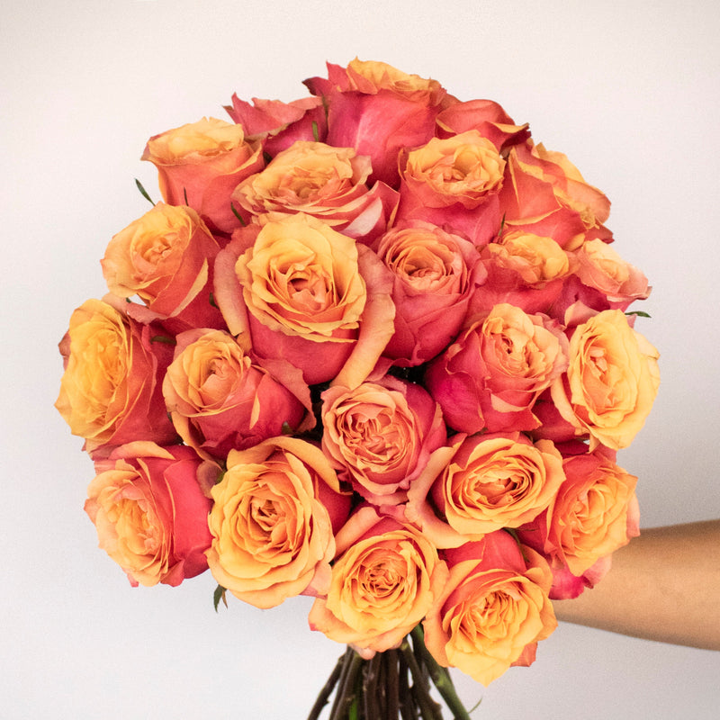 Premium Rose Subscription PrePaid