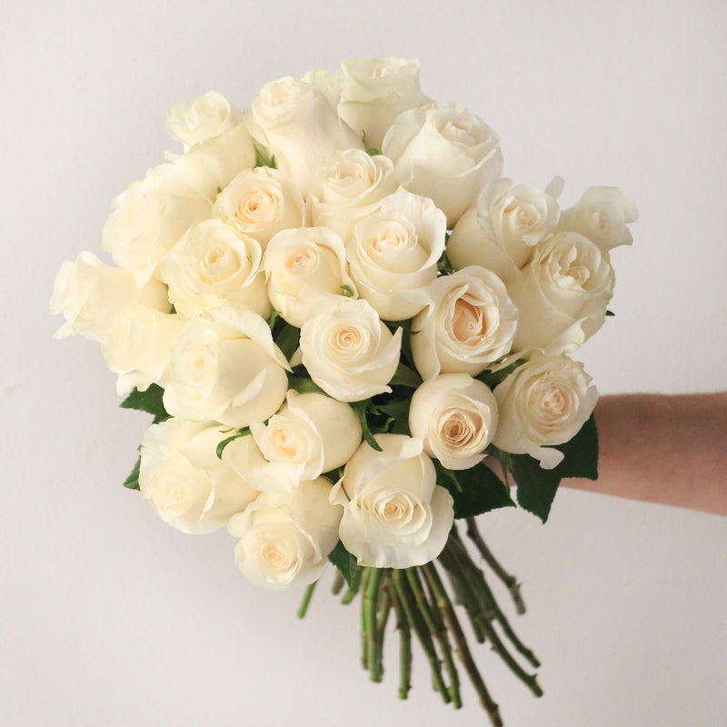 Premium Rose Subscription PrePaid