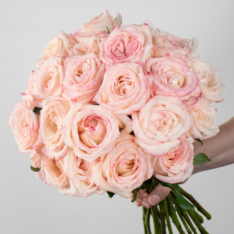 Premium Rose Subscription